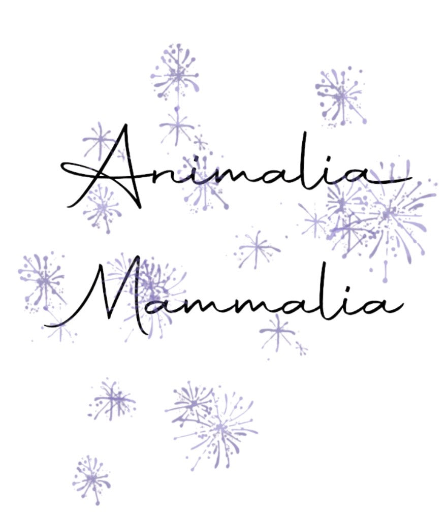 Animalia Mammalia